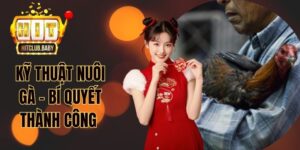 Kỹ thuật nuôi gà