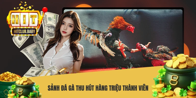 Sảnh đá gà thu hút hàng triệu thành viên